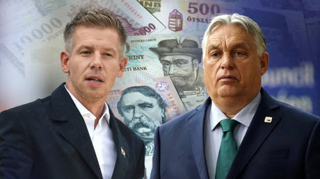 Battle for Hungary: Does Orbanomics need fixing?