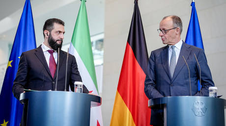 Majority of Syrian migrants should return home – Merz