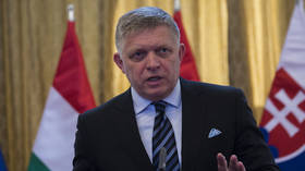 Zelensky seeking to ‘punish’ Slovakia for peace aspirations – Fico