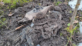 Ukrainian drones hit two more NATO states (PHOTOS)