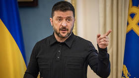 Ukraine needs nukes as security guarantee – Zelensky