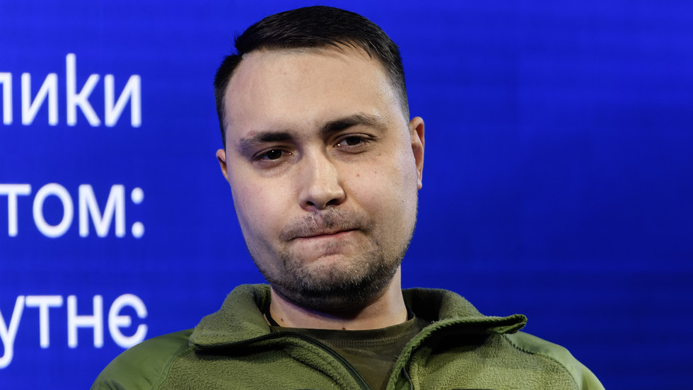 Ukraine faces ‘huge’ rift as mobilization backlash grows – Zelensky aide — RT Russia & Former Soviet Union