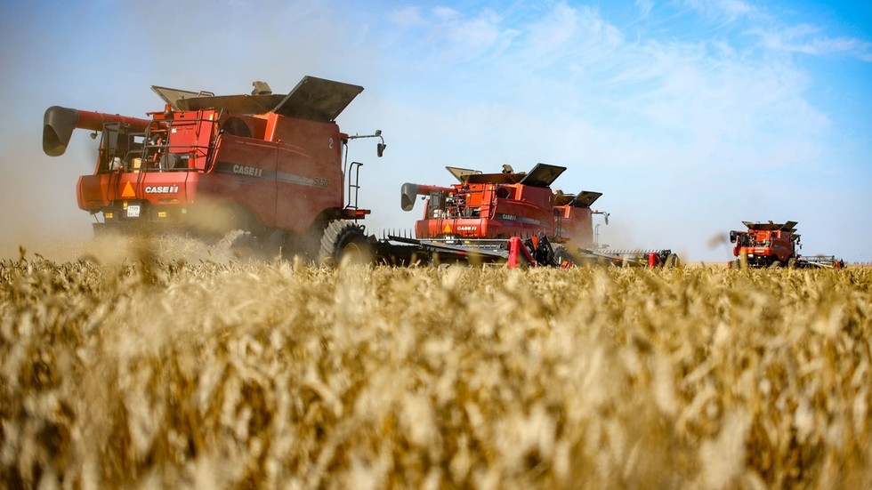 Sudan doubles wheat imports from Russia