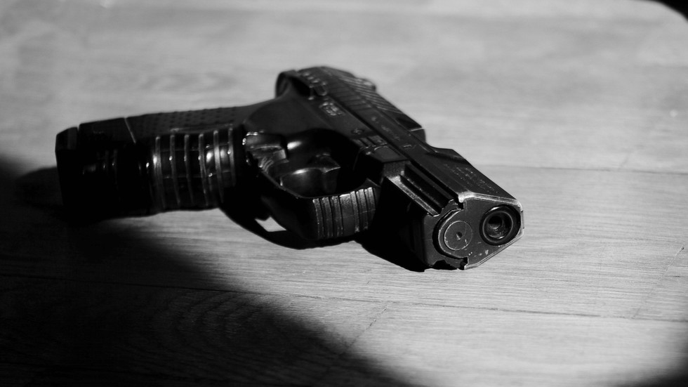 AfD supporters’ gun rights secretly curbed by German state – media