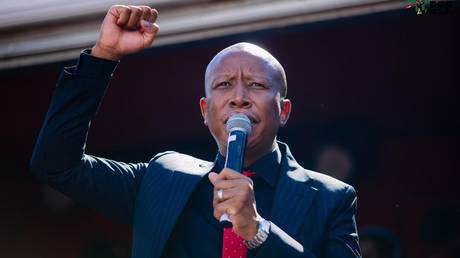 South African politician jailed for firing gun at rally