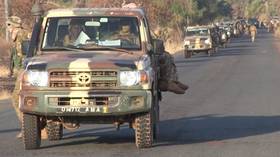 ‘Sincere and fruitful ties’: Expert hails Russia’s expanding anti-terror role from Sahel to home