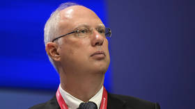 Energy crisis will last for months – Kremlin envoy