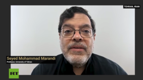 Israel desperate to wreck US-Iran ceasefire – professor