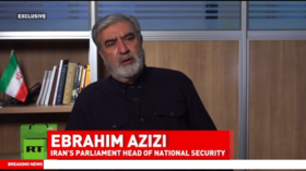 Iran to charge ships from ‘hostile’ nations to cross Hormuz – security chief