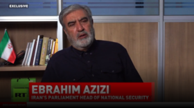 Iran to charge ships from ‘hostile’ nations to cross Hormuz – security chief