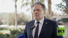 Egyptian nuclear plant to get first fuel next year – Rosatom