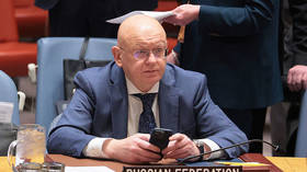 Russian envoy dismantles Kallas at UNSC