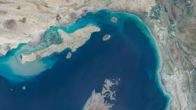 Trump thanks Iran for opening Strait of Hormuz as oil prices in freefall (PHOTOS/VIDEOS)