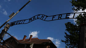 Man detained over Auschwitz gate replica in German town – media