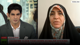 Tehran’s ‘red lines’ have changed – Iranian professor