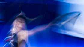 No ban needed: Russian athletes get shut out by suspiciously convenient delays