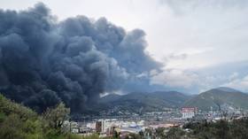 Kiev’s attacks on Russian refinery cutting global oil supply – Kremlin