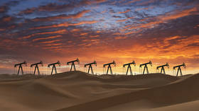 The UAE’s OPEC gambit: Clever power play or road to chaos?