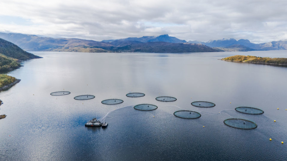 rt.com - RT - Norway salmon farms dump waste equal to millions' sewage, report warns