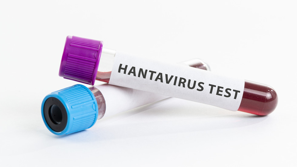 Hantavirus-hit cruise ship cleared to leave African waters