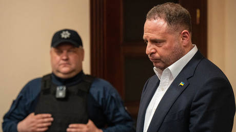 Ex-Zelensky aide consulted mystic on key decisions &ndash; investigators
