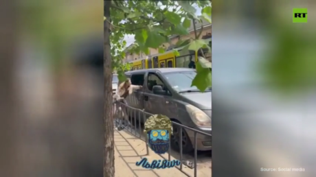 Ukrainians confront press gangs in Lviv (VIDEOS)