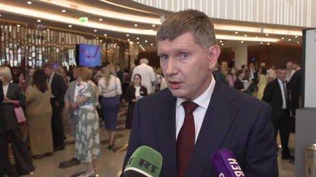 Partnership with Russia of &lsquo;great interest&rsquo; to many countries &ndash; minister