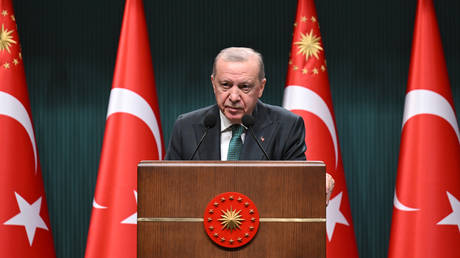 Why does Erdogan want a new constitution?