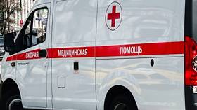Seven civilians wounded after Ukrainian attack on Russian village – governor
