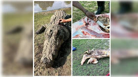 Human remains found inside crocodile in South African river (DISTURBING PHOTO AND VIDEO)