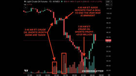 Oil trader pockets reported $125 mn on suspiciously well-timed Iran bet – media