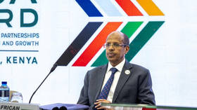 Africa can no longer be sidelined at UN Security Council – AU chief