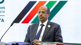 Africa can no longer be sidelined at UN Security Council – AU chief