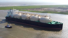 EU buys record volumes of Russian LNG – report