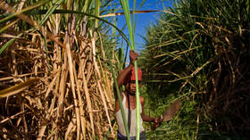 India bans sugar exports until September
