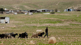 Palestinian ‘abducted’ and ‘restrained’ in West Bank (VIDEO)
