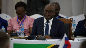 Tanzania-Russia cooperation key to food security – minister
