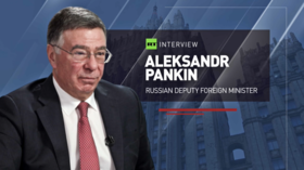 EAEU plays defining role in member states’ economic growth – Russian deputy foreign minister