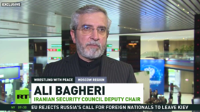 US negotiating tactics ‘detached from reality’ – Iranian diplomat