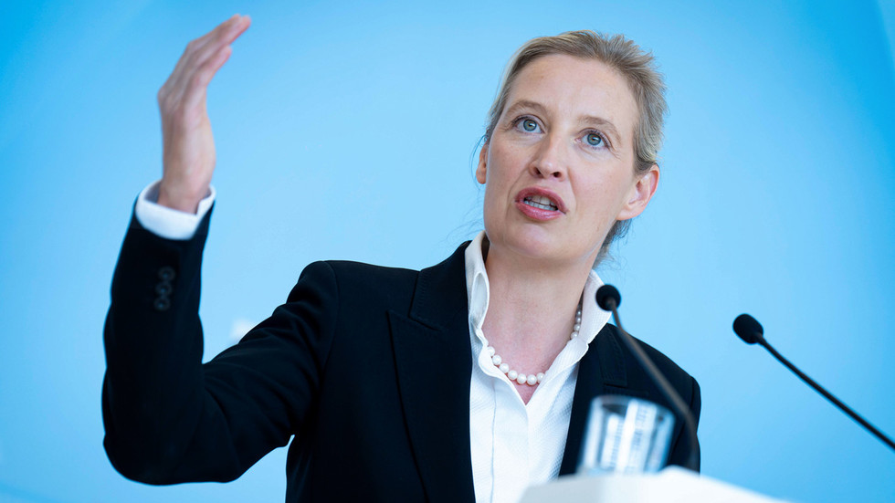 Ukraine must compensate Germany for blowing up Nord Stream – AfD co-leader