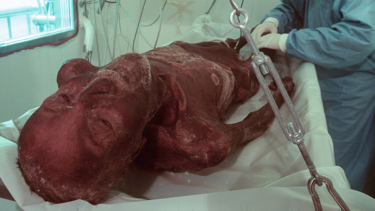 Scientists bake bread with yeast from 5,300-year-old mummy Scientists bake bread with yeast from 5,300-year-old mummy