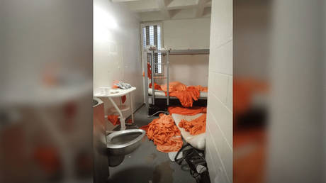 Epstein tried to kill himself at least three times in jail – NYT