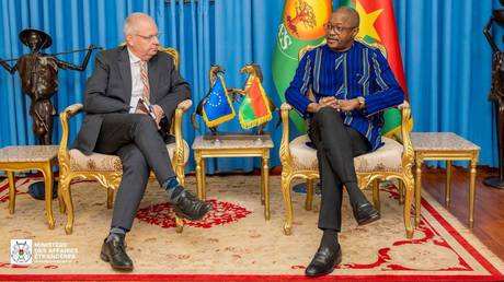 African country rejects European Parliament resolution