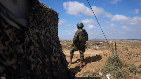 Israel planning permanent Lebanon occupation – professor (VIDEO)