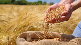 Russia boosts wheat exports to Kenya – report