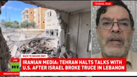 Israel ‘sacrificing global economy’ to prolong war on Iran – professor