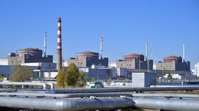 Kiev turns to ‘systematic killing’ of Zaporozhye plant staff – Russia’s nuclear chief
