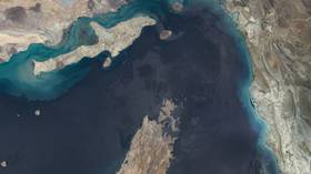 Satellite imagery shows an overview of the Strait of Hormuz.