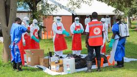 Red Cross volunteers killed in DR Congo