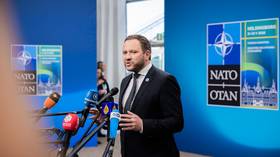 NATO nation willing to accept Ukrainian drone danger – foreign minister